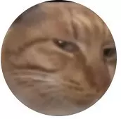 Iлля