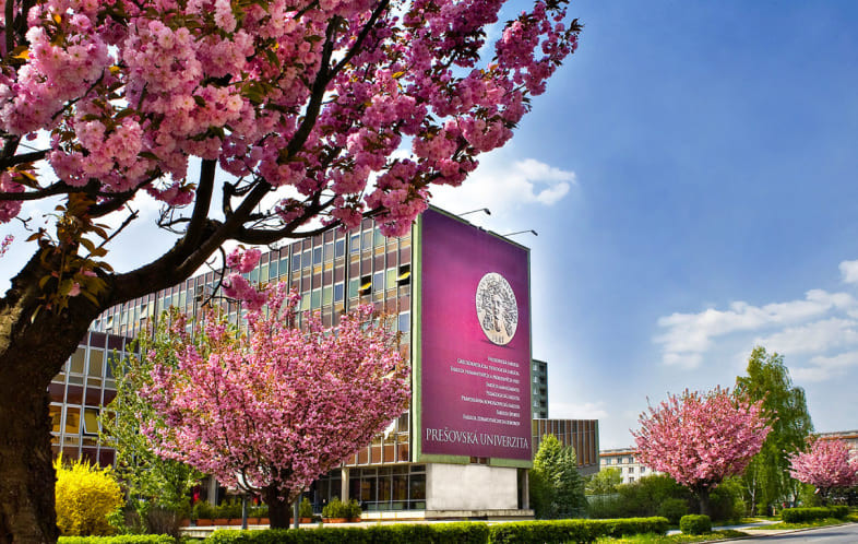 Пряшівський університет у Словаччині