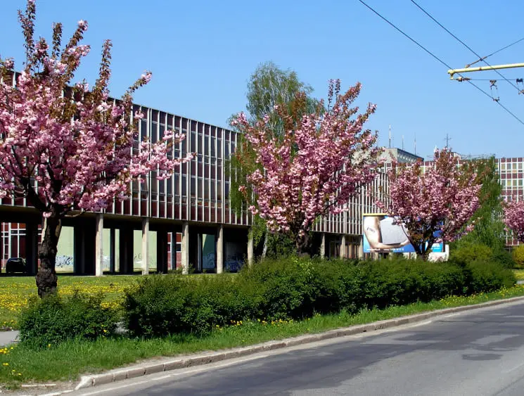 Пряшівський університет